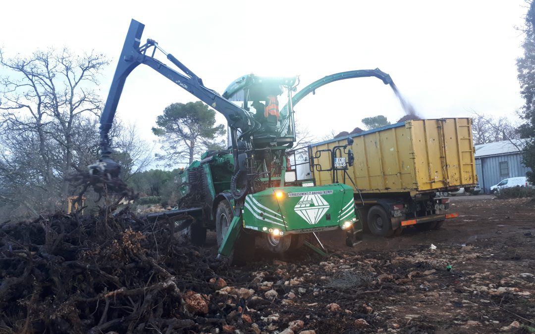 Des ceps de vigne transformés en énergie verte