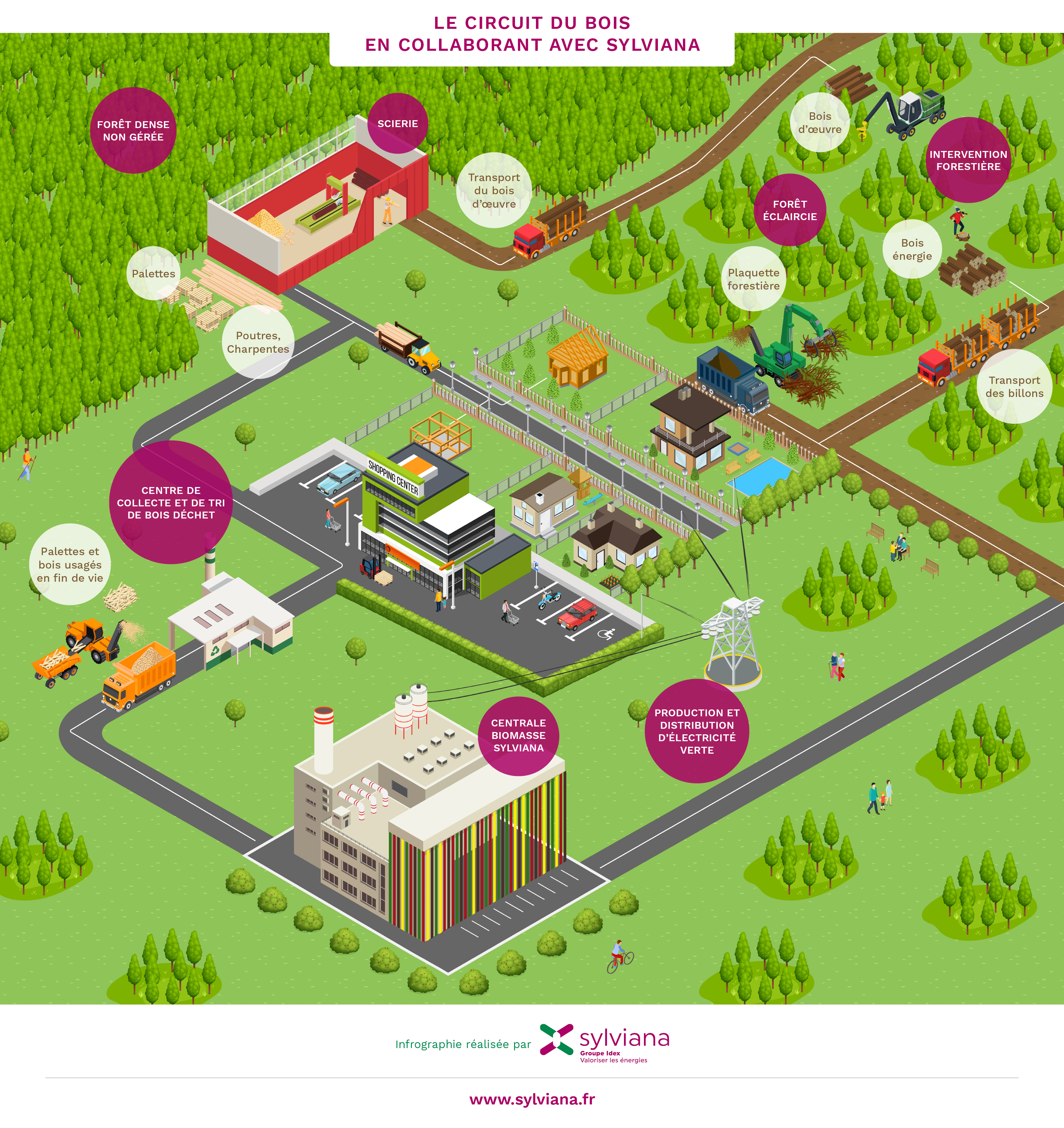 06_Sylviana_infographie